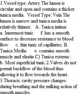 Chapter 4 Assignment